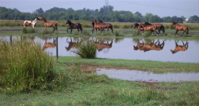 marais de montferrand